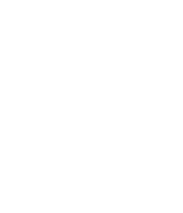 Leo Custom Homes - Footer Logo